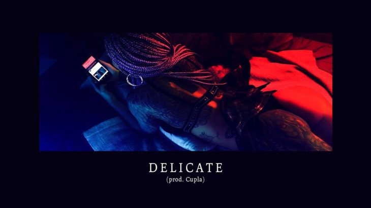 FREE* DaniLeigh type beat – DELICATE ft Jhené Aiko | Soul R&B Instrumental 2019