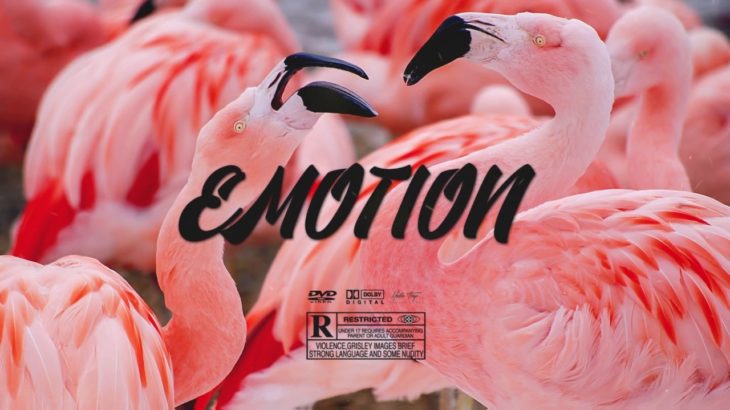 [FREE] Pop/R&B Type Beat (prod. RoSal Beat) – Emotion