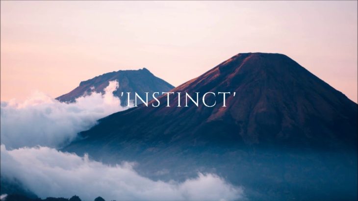 ‘Instinct’ – R&B/Hip-Hop Type Beat