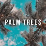 “Palm Trees” – Happy Summer Rap Beat | R&B Hip Hop Instrumental Music 2019 | Ihaksi #Instrumentals