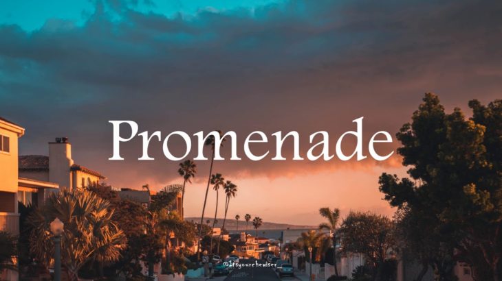 “Promenade” Vibe/East Coast/Hiphop/R&B/instrumental(Prod.Chewiser)