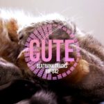 [オリジナルR&Bトラック提供]BEATBANK RnB CUTE RM-042