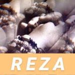 REZA-Bren (R&B slow jam)