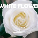 RnB x Bryson Tiller Type Beat  WhiteFlower R&B Soul Instrumental 2019