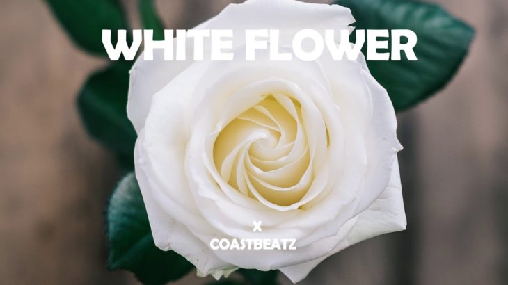 RnB x Bryson Tiller Type Beat  WhiteFlower R&B Soul Instrumental 2019
