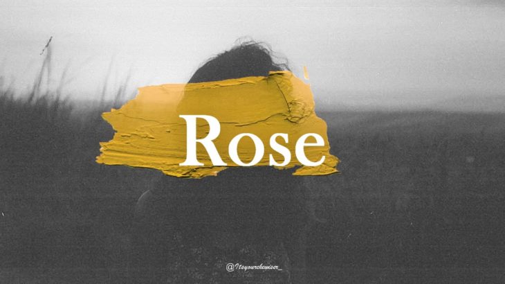 “Rose” Vibe/Hiphop/R&B/instrumental(Prod.Chewiser)