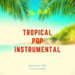 ‘The Best’ – Tropical Summer Beat 2019 Instrumental (Dancehall, R&B) Prod. DJ RuKisS