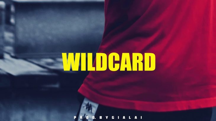 “WILDCARD” – Smooth Trap Type Beat Free Trapsoul R&B Instrumentals 2020 | Prod. STeebeatz