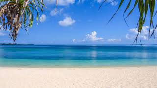 【BGM 24min】Smooth R&B, Mellow Hiphop Mix / DJ RIKU