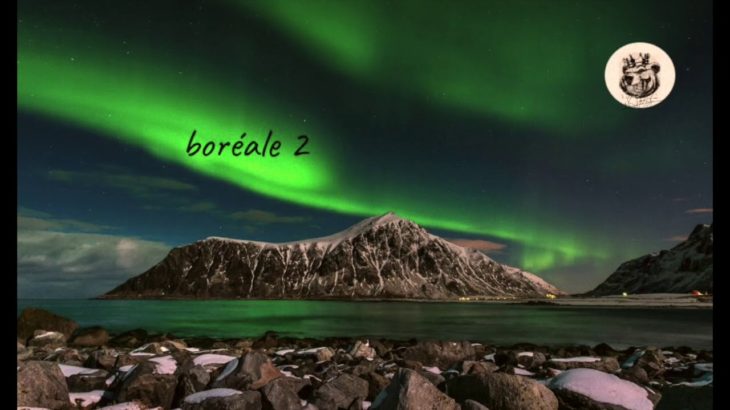 Boréal 2/NEW BearkingProd/Type hip hop guitard; R&B 2019