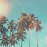 (FREE) R&B Type Beat 2019 “Midsummer” Chill/ Melodic Type Beat