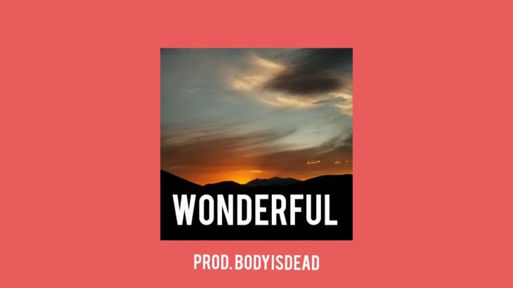 [Free] “Wonderful” Chill Future R&B Type Beat Prod. BodyIsDead