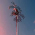 Happy pop dance beat instrumental 2019 (tropical, R&B) “XX19” by siemaa prod