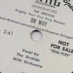 “OH WHY” by THE ORCHIDS, R&B doo wop ballad rarity