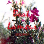 Pop/R&B type Beat – Lamour​ prod. ORISOME1