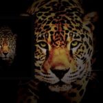 SIERRA LEONE -R&B/RAP/HIP HOP INSTRUMENTAL