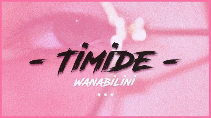 Tayc x Swae Lee x Leto Type Beat R&B Trap Instrumental 2019 | “Timide” (Prod by Wanabilini)