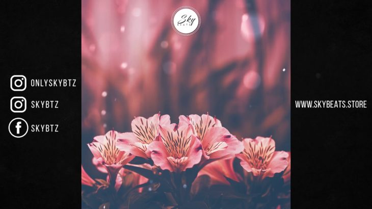 WINDOWS – || R&B || TRAP SOUL || Type Beat – SkyBeats – 2019