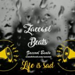 Zacool – Life is sad [Lil peep type beat] – (R&B)