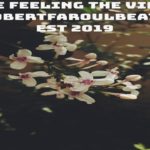 [Free] We Feeling The Vibe – R&B x Pop x Chill Type Beat Instrumental 2019 | by ©RobertFaroulBeatz