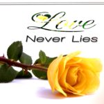 💛🖤R&B Classics – Love Never Lies💛🖤