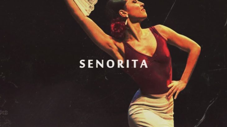 VolitionMusic – Señorita [Bryson Tiller Type Beat] R&B Guitar Type Instrumental