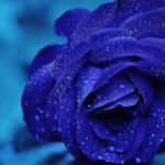 “Blue” HIP HOP INSTRUMENTAL Rap Beat R&B Beat Freestyle Instrumental music 2019