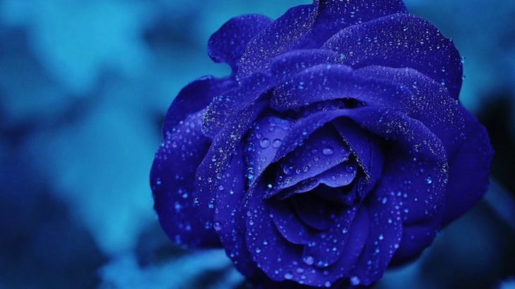 “Blue” HIP HOP INSTRUMENTAL Rap Beat R&B Beat Freestyle Instrumental music 2019
