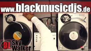 DJ SkyWalker #27 | Old School Mix | R&B Hip Hop Classics | 90s 2000s Black Music Rap Songs