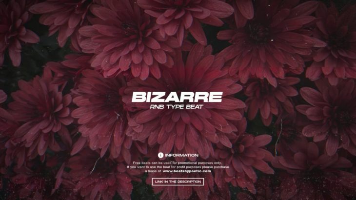 [FREE] R&B Type Beat “Bizarre” R&B Instrumental 2019
