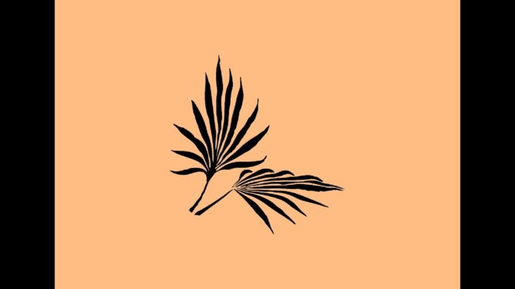 Indie Guitar R&B Type Beat Instrumental / Kali Uchis Type Beat 2019 – my love