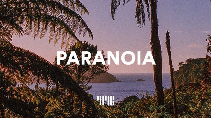 Post Malone Type Beat “Paranoia” R&B/Hip-Hop Instrumental 2019