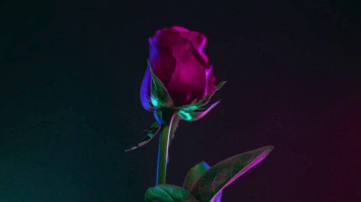 R&B Type Beat “Roses” | Soul Instrumental | Smooth Piano R&B