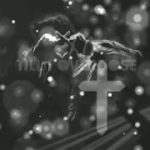 The Weeknd Type Beat “Love Overdose” 2019 | R&B