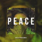 Trapsoul Instrumental – “Peace” | R&B Rap Instrumentals / Beat Kosong
