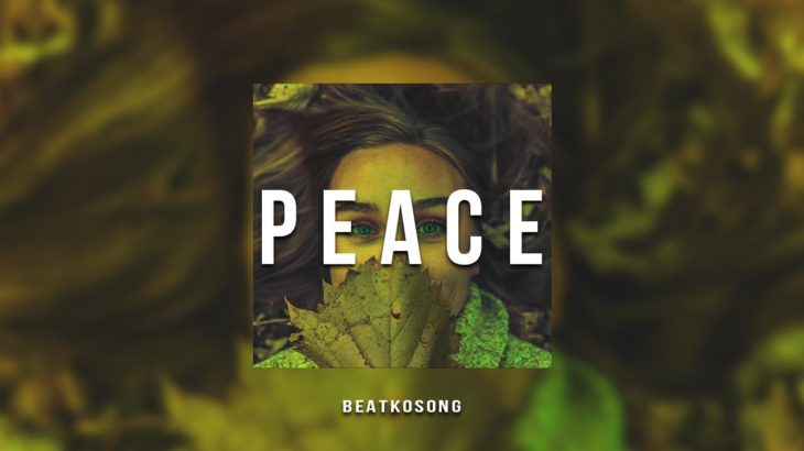 Trapsoul Instrumental – “Peace” | R&B Rap Instrumentals / Beat Kosong
