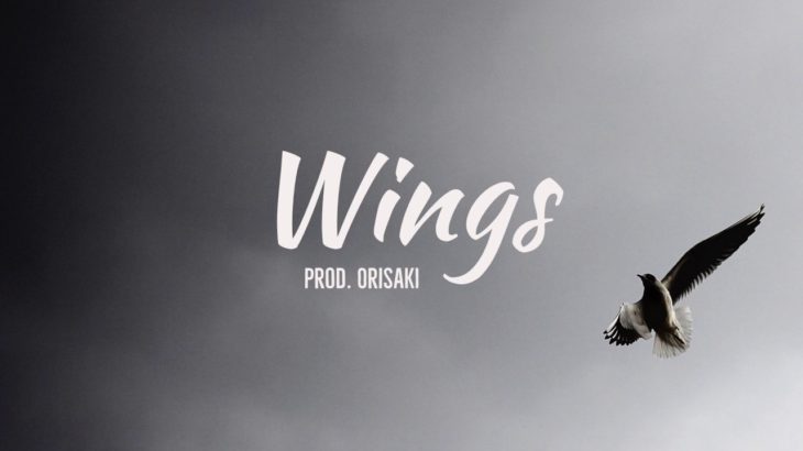 “Wings” – Bryson Tiller x Kehlani Type Beat | R&B instrumental | Orisaki Musi