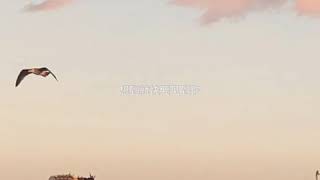 [抖音歌曲]R&B ALL NIGHT COVERED BY 王艾伦er