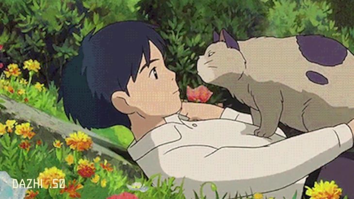 sunshine afternoon | lo-fi | chillhop | Ｒ＆Ｂ｜indie | lo-fi beats to chill and study