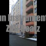 36. Liun Instrumental / Zoli Beatz – Slow R&B/Hip Hop Beat / Nr. 101