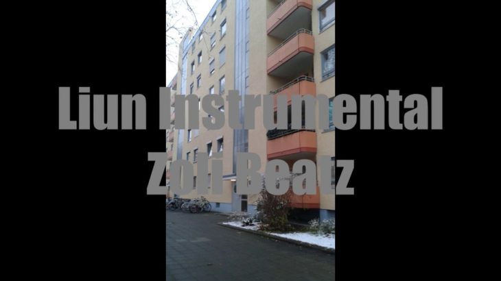 36. Liun Instrumental / Zoli Beatz – Slow R&B/Hip Hop Beat / Nr. 101