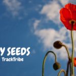 TrackTribe – Poppy Seeds 🎧 Copyright Free Music YouTube Audio Library 💥 R&B & Soul + Funky Music