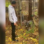 FREE Trap R&B Jazz Beat “Passive” Prod by RatedTooReal