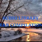 Audio Library | Bebas Download | R&B | Bahagia | Compilation