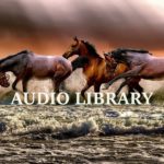 Audio Library | Bebas Download | R&B & Soul | Bahagia | Steps