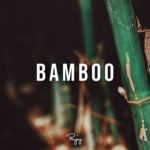 “Bamboo” – Melodic Trap Beat | New R&B Rap Hip Hop Instrumental Music 2019 | Bassgodd #Instrumentals
