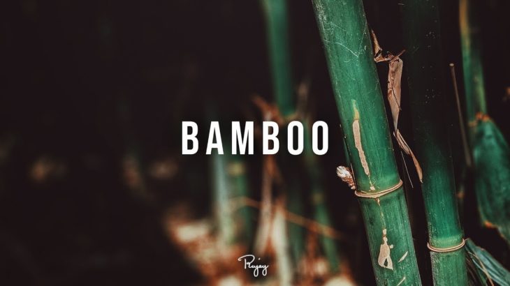 “Bamboo” – Melodic Trap Beat | New R&B Rap Hip Hop Instrumental Music 2019 | Bassgodd #Instrumentals