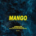 Drake x Goldlink x Logic Type Beat | “Mango” | Smooth Hiphop, R&B Instrumental (Vertical Video)