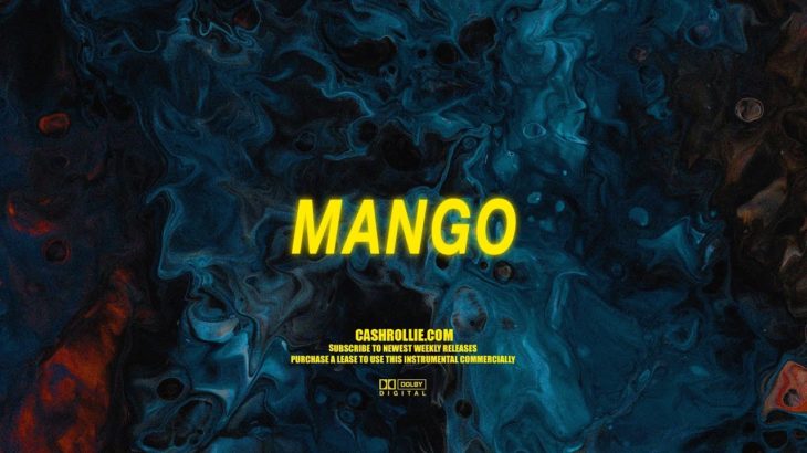 Drake x Goldlink x Logic Type Beat | “Mango” | Smooth Hiphop, R&B Instrumental (Vertical Video)