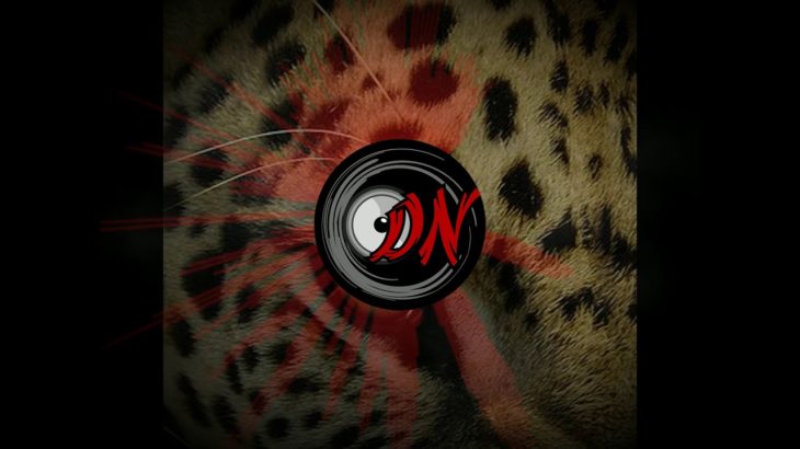 [FREE D/L] Khalid x Chris Brown Type Beat | R&B RnB Type Beat – WILD SIDE (2019)
